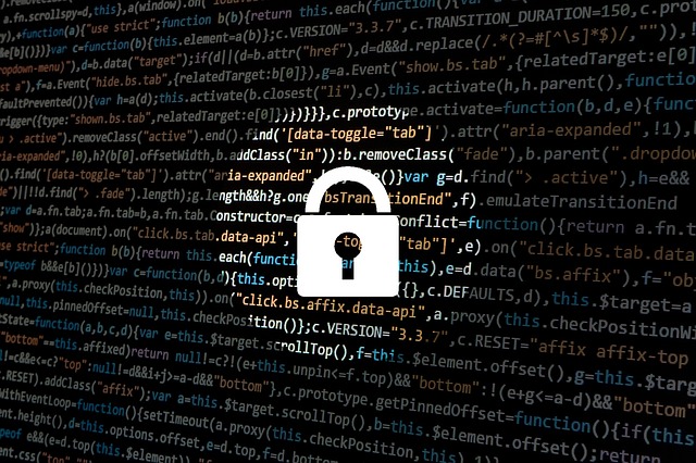 Bescherm uw online privacy: uw gids voor veilig internetten